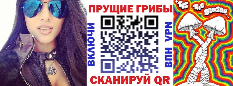 МЕГА зеркало  Судогда  Псилоцибиновые грибы мухоморы 